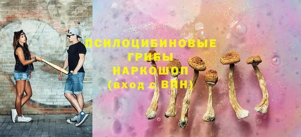 соль ск Абдулино