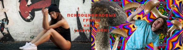 синтетический гашиш Алексеевка