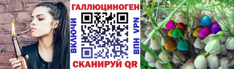 Галлюциногенные грибы MAGIC MUSHROOMS  закладки  Череповец 